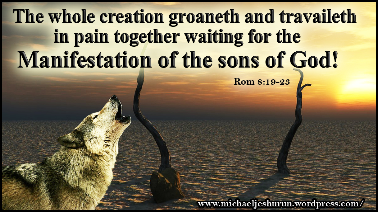 What Does It Mean That All of Creation Groans?