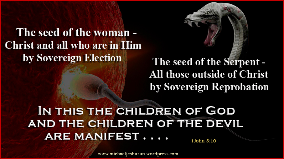 THE SEED OF THE WOMAN AND THE SEED OF THE SERPENT |